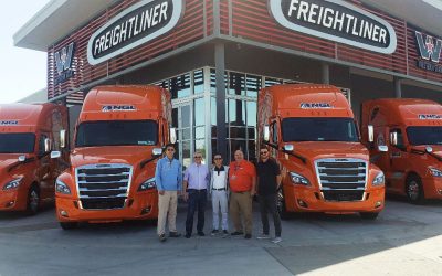 The 15th Anniversary Special Edition Trucks